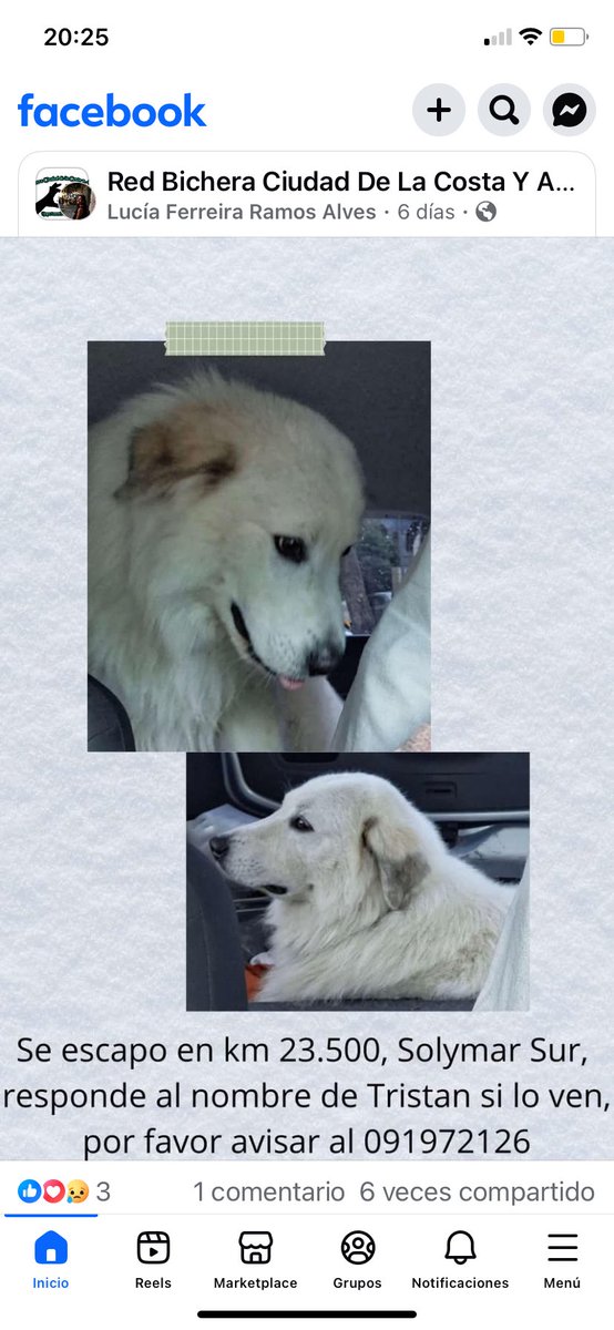 Adriana (@adriana43587622) on Twitter photo 