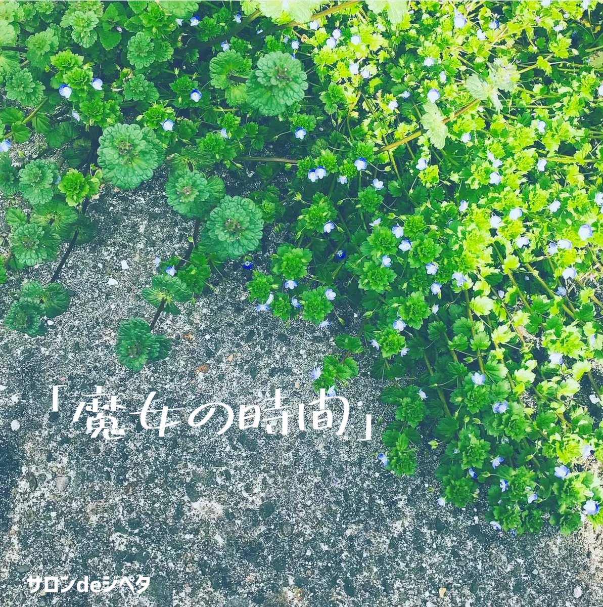 jipeta301's tweet image. 明日7/19(土)はサロンdeジペタ「魔女の時間」です。
お初な時間。
ハンドケアとシンギングボウルで今週の疲れをぜひほぐしてもらってくださいな。
13:30-17:30ご予約なし随時受付。
この季節のハーブをつかってラベンダーカルピスをちょこっとお振舞い🪻
お待ちしております。
jipeta.jugem.jp/?eid=20#gsc.ta…
