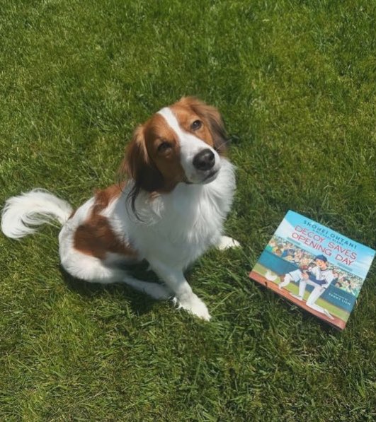 大谷翔平とデコピンの絵本