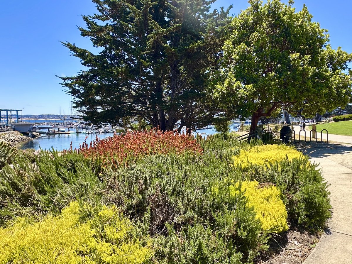 wlgolden's tweet image. Walking on Monterey Bay, California last week with @oakridgeboys Tour - @WME @opry @CountryMusic