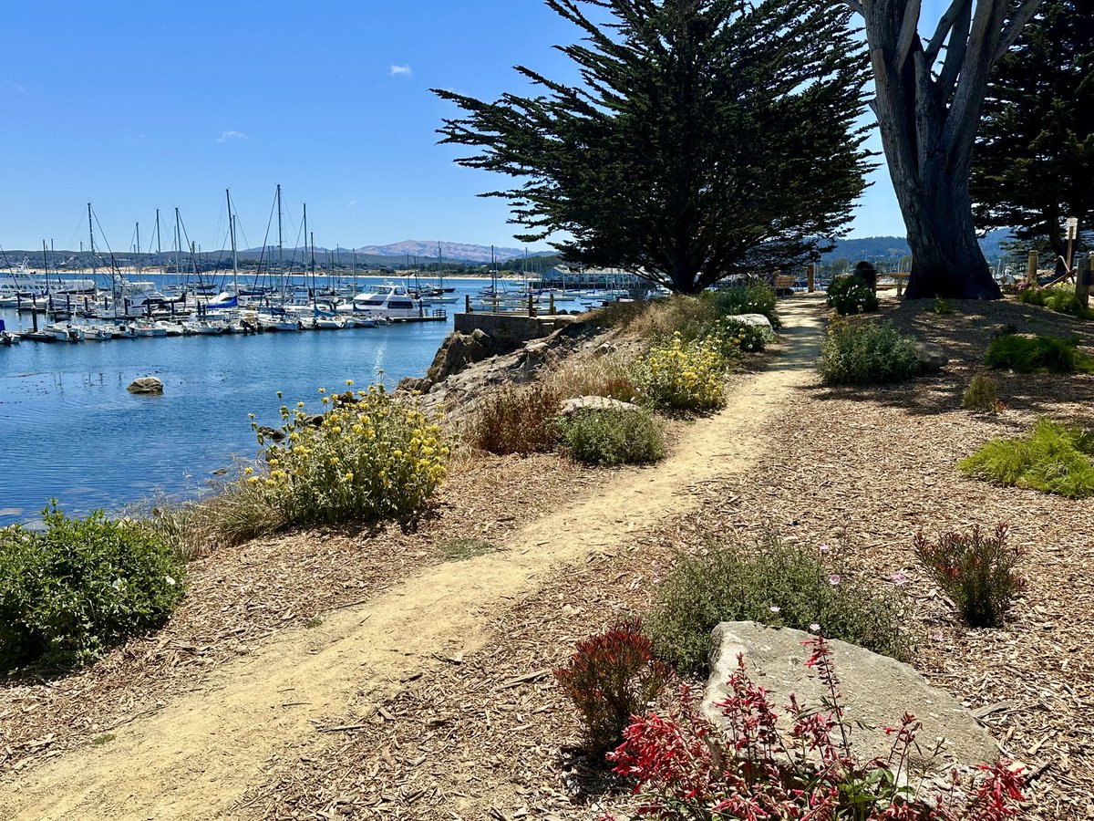 wlgolden's tweet image. Walking on Monterey Bay, California last week with @oakridgeboys Tour - @WME @opry @CountryMusic