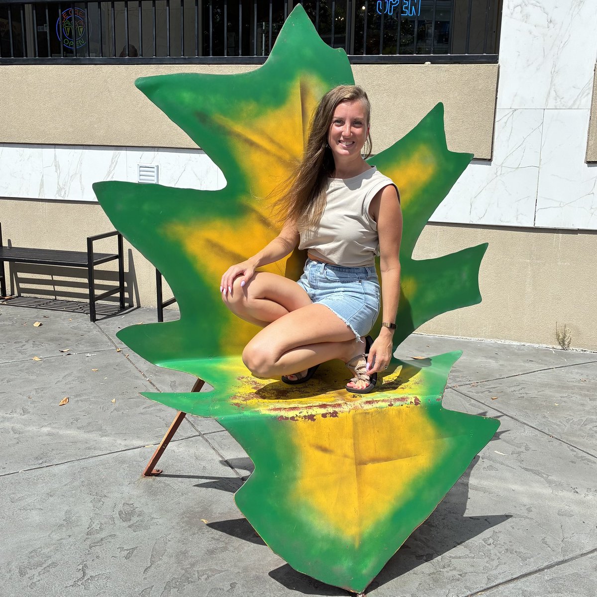 CarnivoreFriend's tweet photo. I really wanted my picture taken in the leaf chair but it was so hot I couldn't sit on it! ๐ย
My mom got to hang out with Trump in a box.
And after a 3.5 hour drive we made it home safely and I got to go for a walk before the sun went down!
#RoadTrip #HotSprings #MagicSprings https://t.co/9EdAHWbAZI