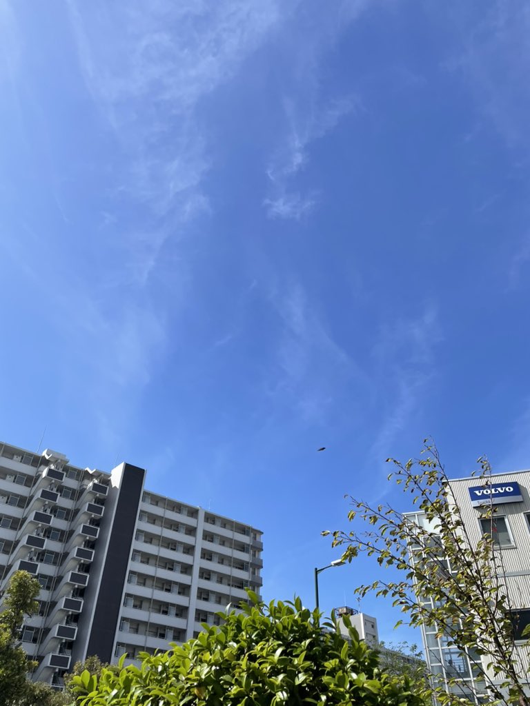 朝から暑いし、金曜だから疲れも溜まっているようで…🥵🥱🫩
でも蝉は元気に鳴いてる〜😁