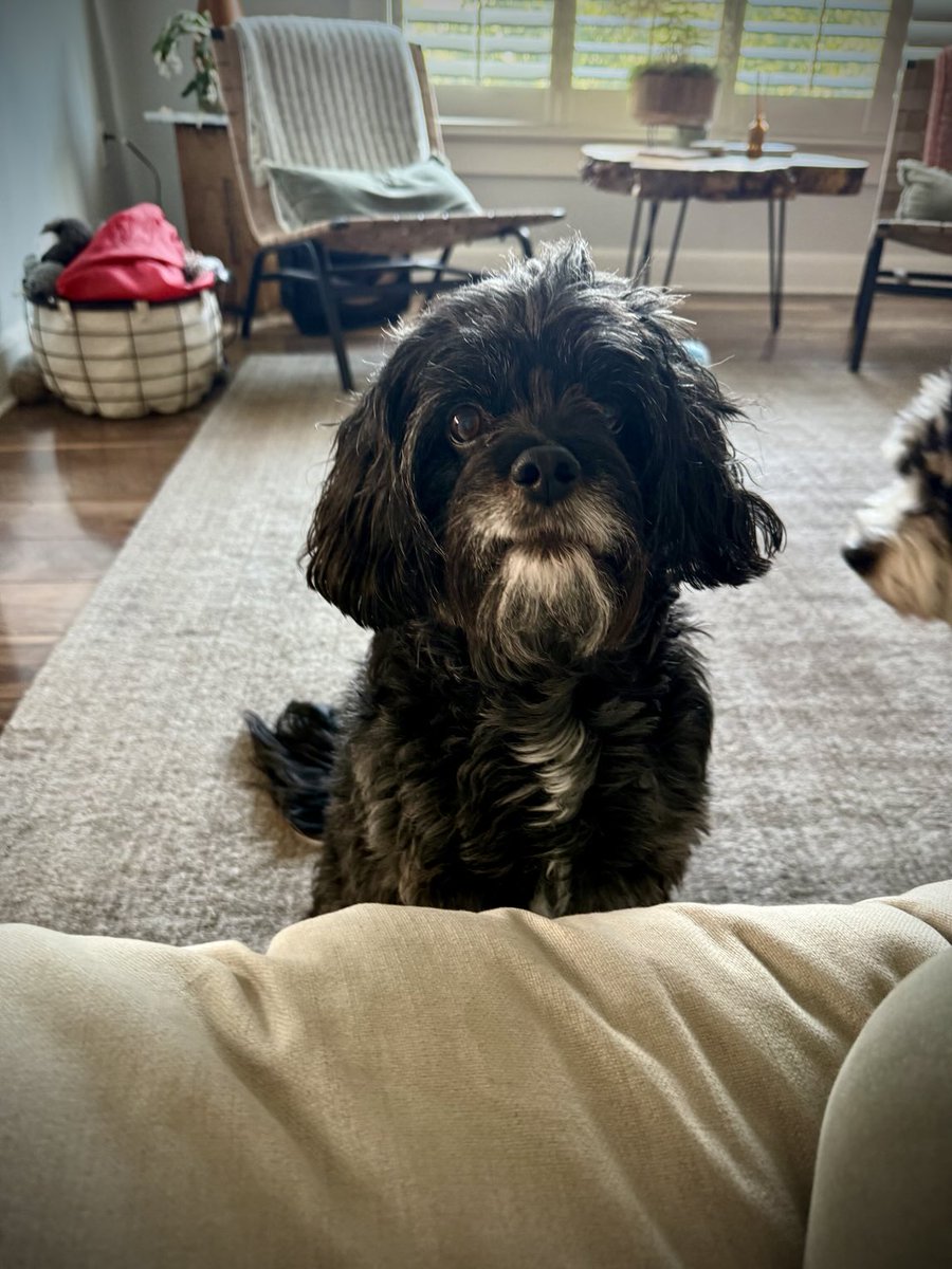 He is supervising me eating dinner because he's very worried about me getting enough fiber.