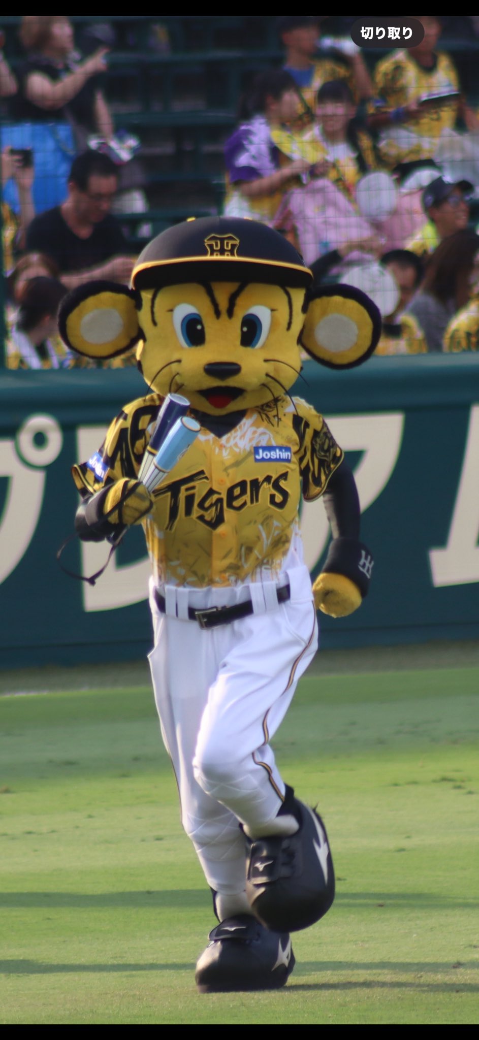 阪神タイガースといえばやっぱりトラッキー マスコット紹介｜エンタメ｜阪神タイガース 公式サイト