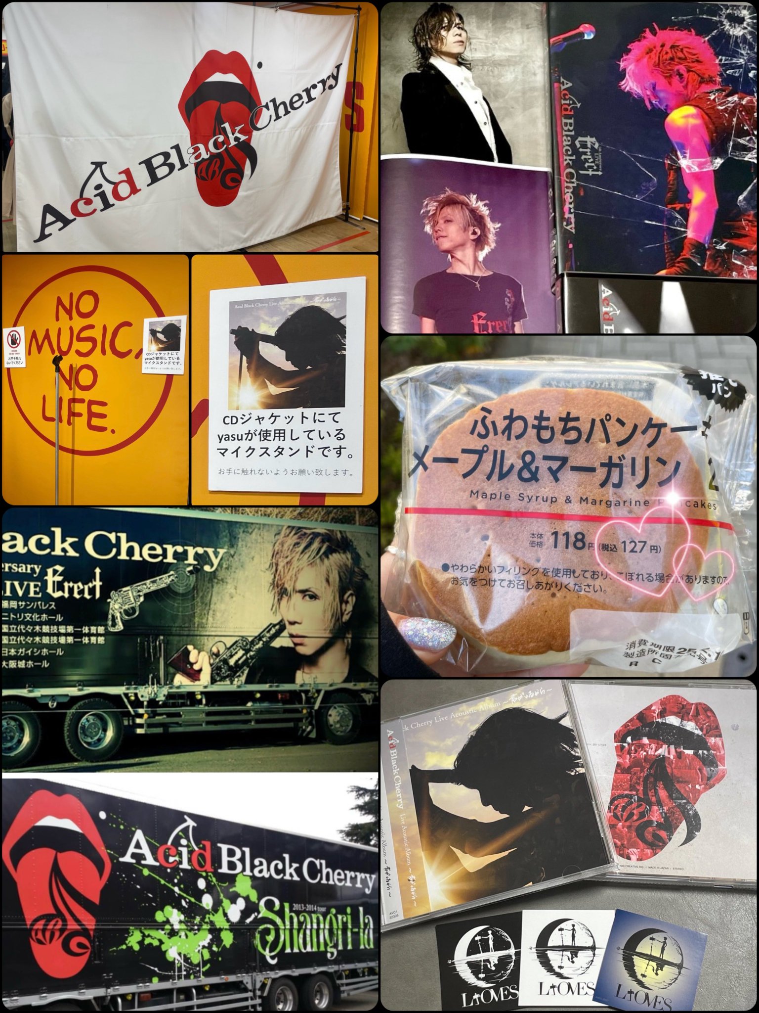 【激レア】Acidblackcherry ツアーグッズ等　おまとめ　中古＆未開封 ycdcdg1804260050041.jpg