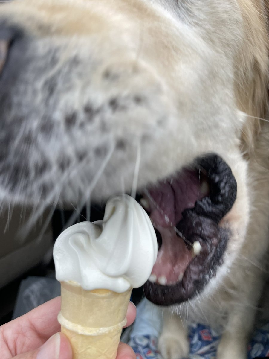 Karen Banfield Hare tweet media