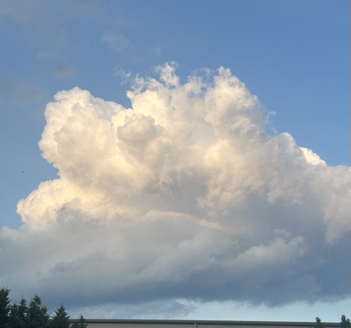 timbutz70's tweet image. @capitalweather A beautiful sight this evening. Photo taken in Pasadena, Md.