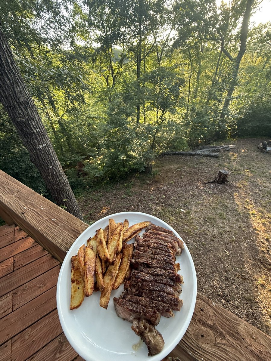 Beaver 🦁 tweet media