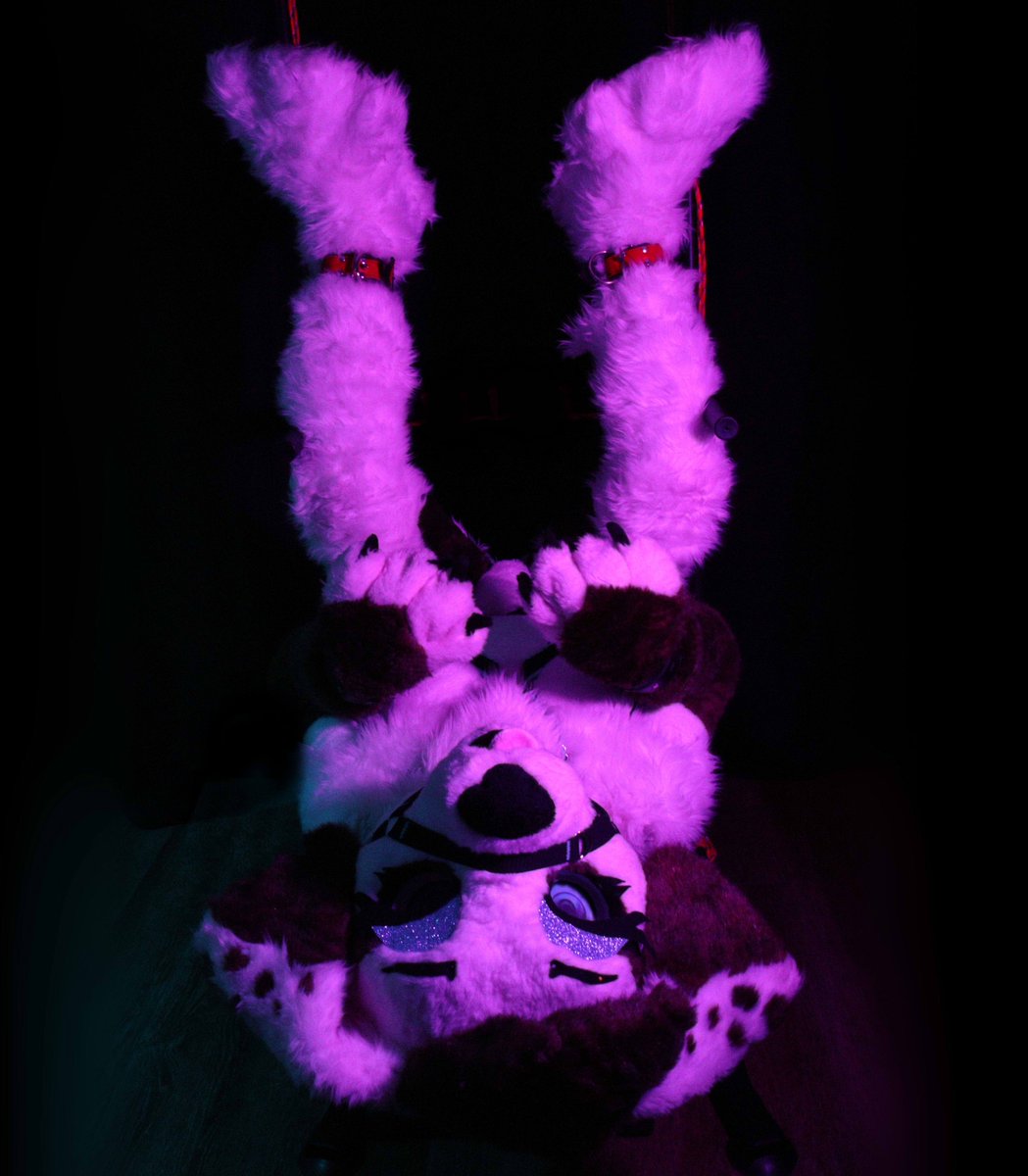 (📸: <a href="/Disko_VR/">Disko | Megaplex</a> )
⛓️🔒~Woof~🐾