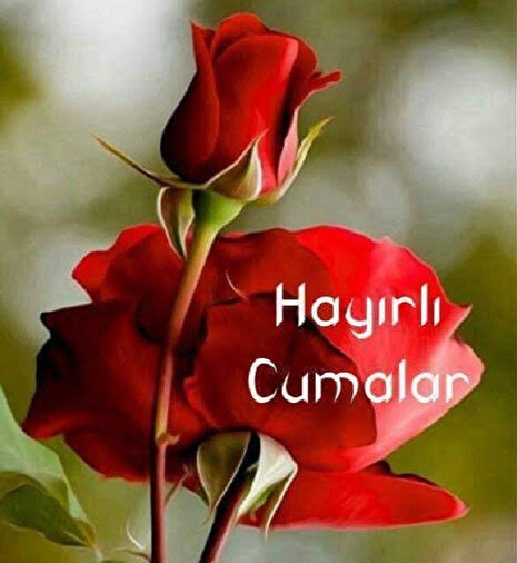 Şayet , Kalbiniz ve Niyetiniz Gerçekten "İyi" ise; " Yüce Allâh" Sizi  Mutlaka Mükafatlandıracaktır. ✨