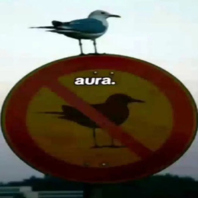 Insane Content tweet media