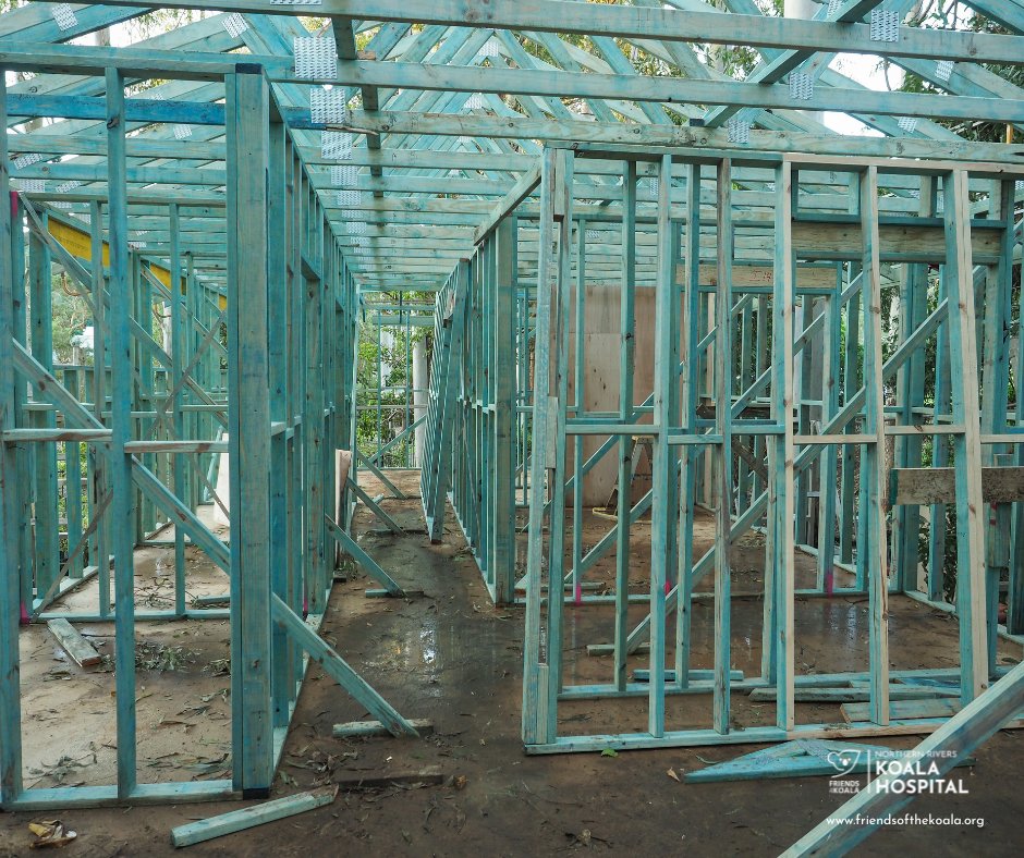 Friends_Koala's tweet image. π₯π¨ As Missy Higgins said, βFrom little things, big things grow.β Thanks to you, our #KoalaHospital is expanding!
π¨ Phase 1: Extension underway
π§ Phase 2: Fitting out new space & Burribi Centre coming soon
πΏ Phase 3: Fully upgraded facility to save more lives