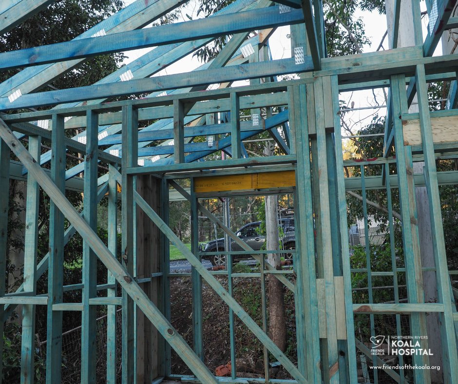 Friends_Koala's tweet image. π₯π¨ As Missy Higgins said, βFrom little things, big things grow.β Thanks to you, our #KoalaHospital is expanding!
π¨ Phase 1: Extension underway
π§ Phase 2: Fitting out new space & Burribi Centre coming soon
πΏ Phase 3: Fully upgraded facility to save more lives