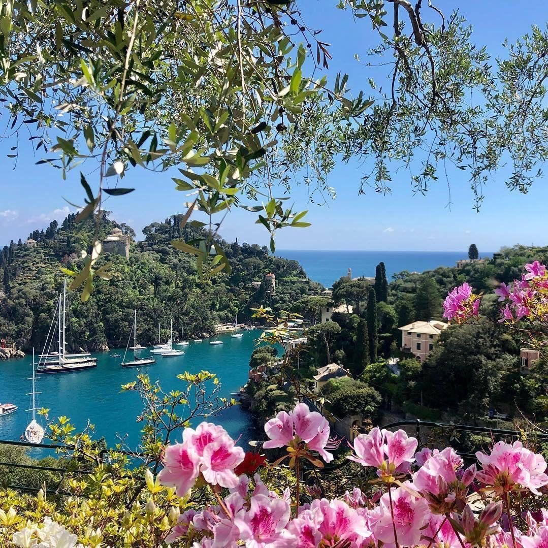 CARTIERANG3L's tweet image. views views views