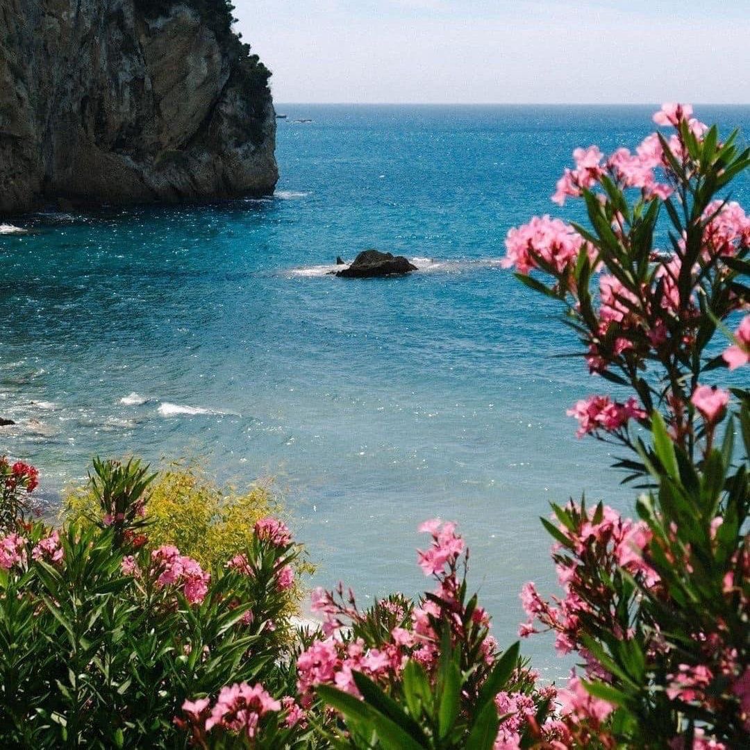 CARTIERANG3L's tweet image. views views views