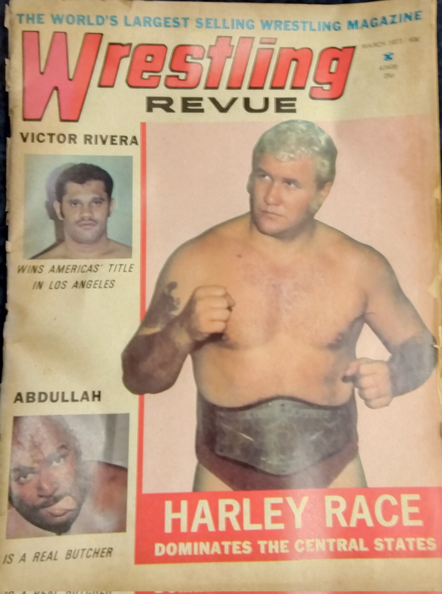 WWEクラシック10 ハーリーレイス WWE ハーリー・レイス クラシックスーパースターズ シリーズ10