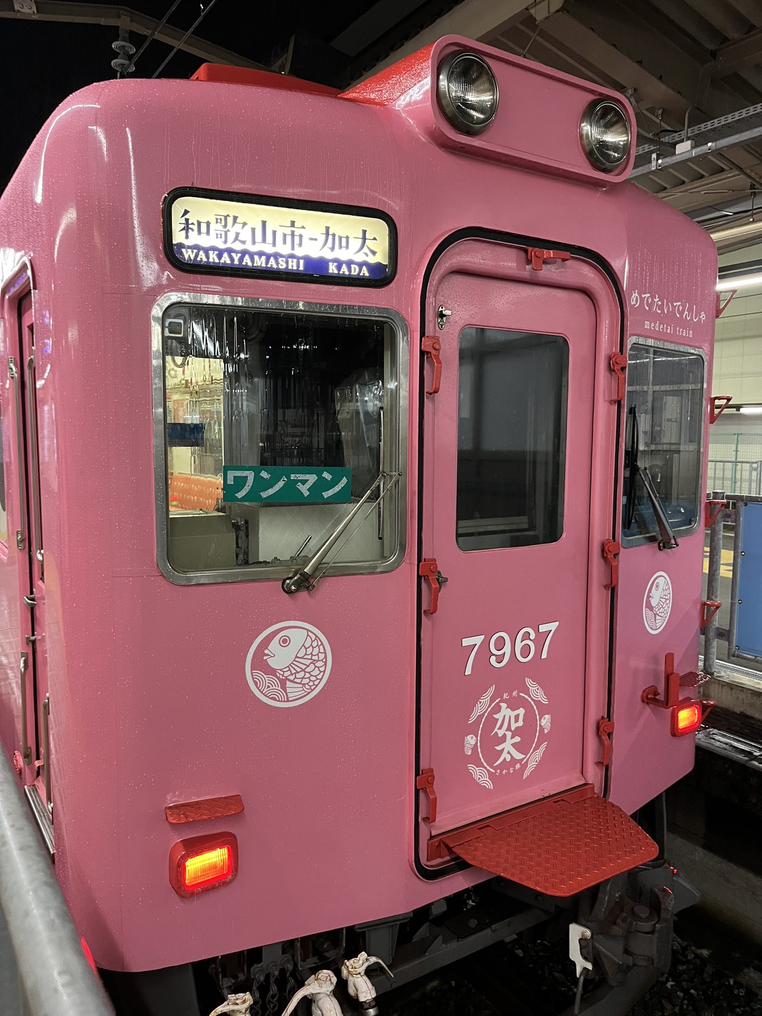 QYマステ 0201（buyee様このままご購入大丈夫です） eBay特化】古物商許可の完全マニュアル！許可証交付までの手続き