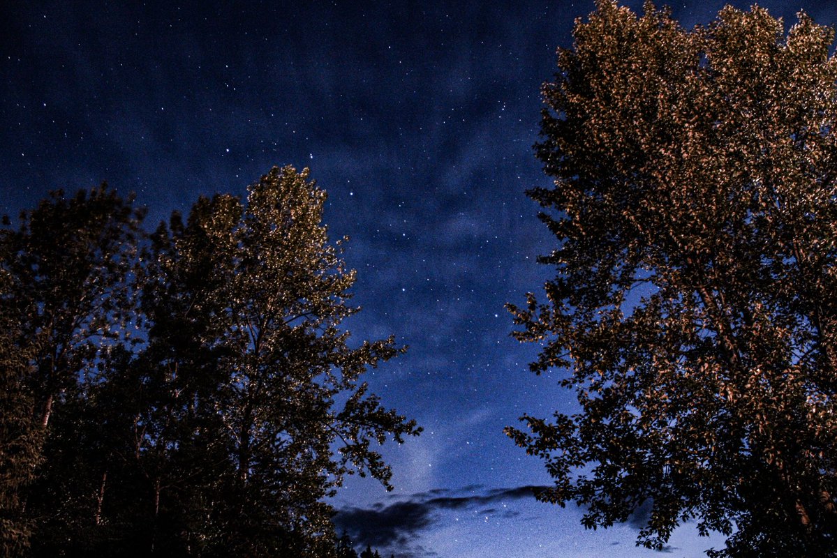DARPA21's tweet image. It was pretty warm out still at 2am but it was nice. No matter how far I go in any direction, I'll always end up back here in this spot. Home.