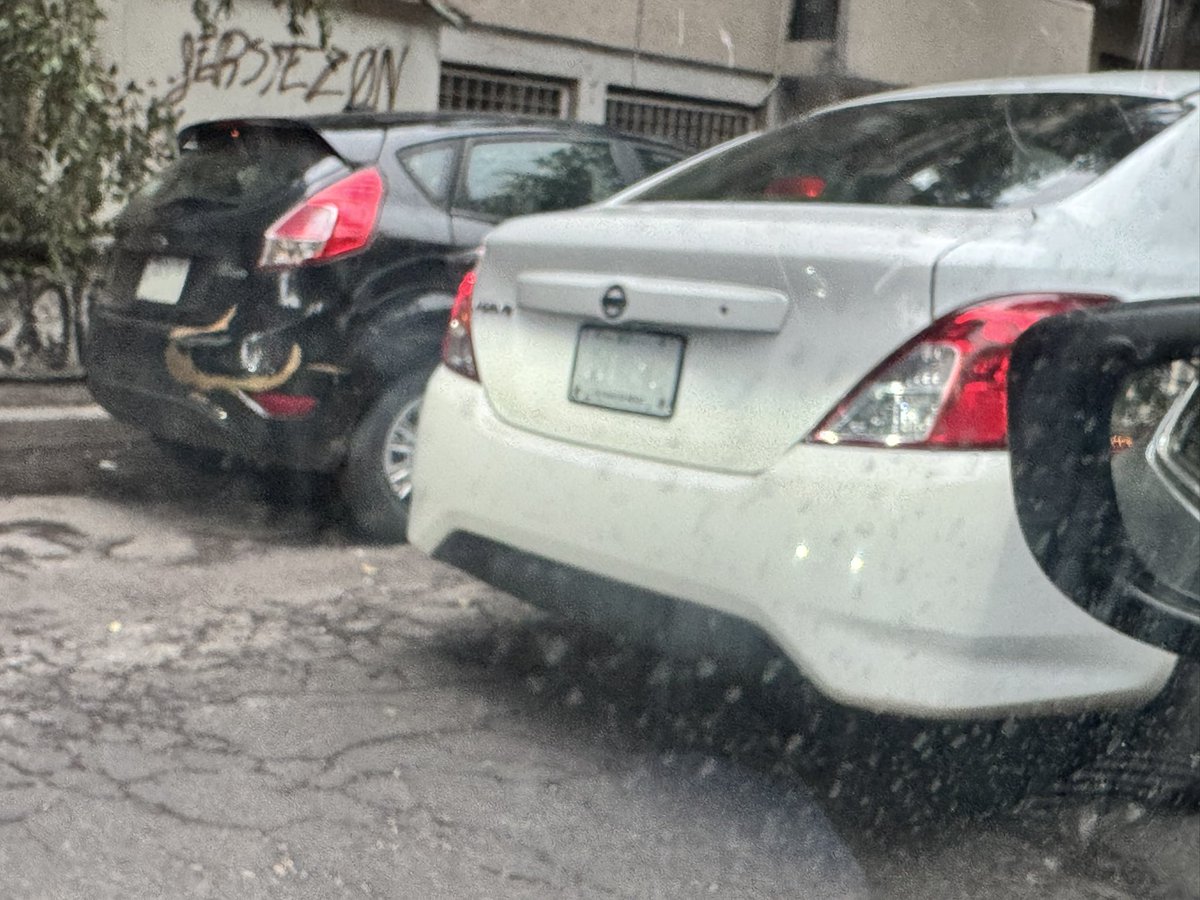 Adhaf Raùl Hatem L. tweet media