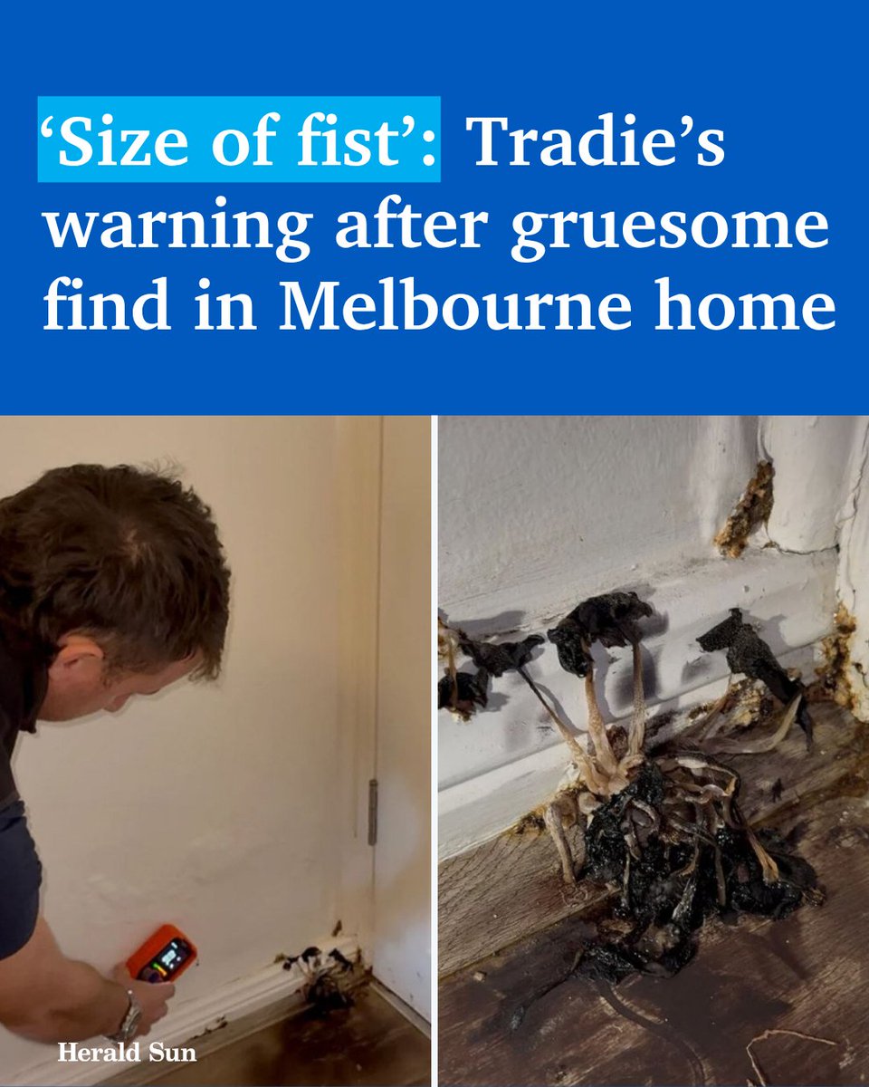 An Aussie tradie is sounding the alarm after discovering a truly stomach-churning scene inside a home. realestate.com.au/news/tradies-w… #realestate