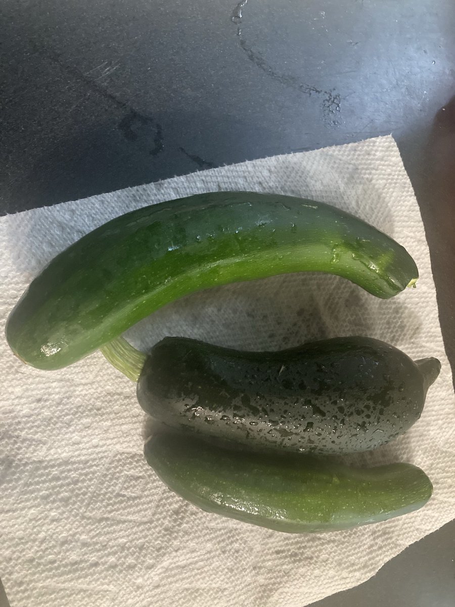 Crayestout's tweet image. My zucchini is now ripe.