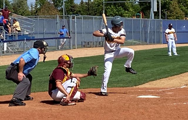 Minnesota Baseball Association tweet media