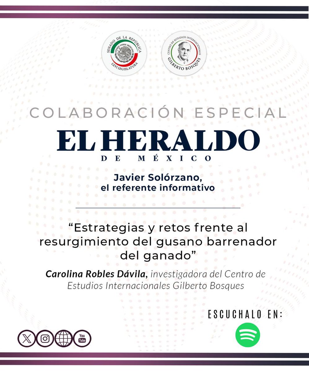 CEI Gilberto Bosques (@cgbsenado) on Twitter photo 📌El <a href="/CGBSenado/">CEI Gilberto Bosques</a> tuvo una colaboración especial con el <a href="/heraldodemexico/">El Heraldo de México</a> radio, abordando el tema de:
"Estrategias y retos frente al resurgimiento del #GusanoBarrenador del ganado"
📑Lee la nota:
centrogilbertobosques.senado.gob.mx/analisisinvest…
🎧Escucha la entrevista:
open.spotify.com/episode/55w2t6… 📌El <a href="/CGBSenado/">CEI Gilberto Bosques</a> tuvo una colaboración especial con el <a href="/heraldodemexico/">El Heraldo de México</a> radio, abordando el tema de:
"Estrategias y retos frente al resurgimiento del #GusanoBarrenador del ganado"
📑Lee la nota:
centrogilbertobosques.senado.gob.mx/analisisinvest…
🎧Escucha la entrevista:
open.spotify.com/episode/55w2t6…
