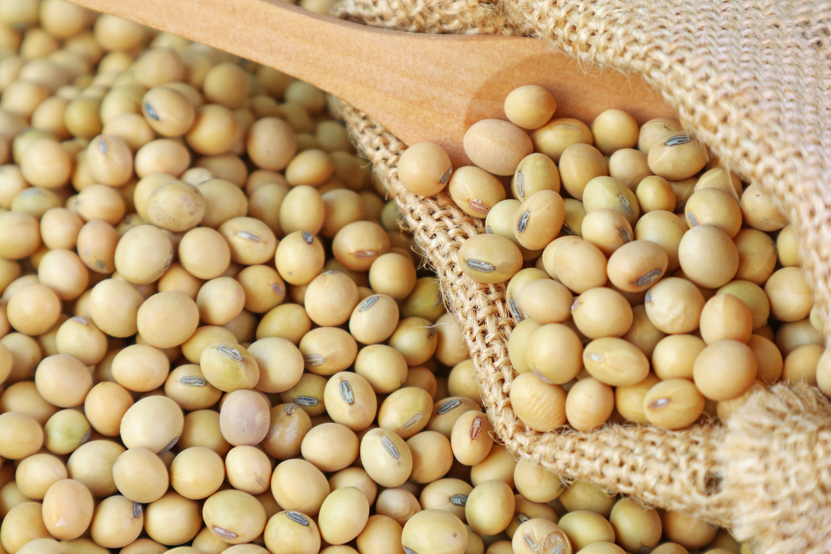 The European Commission has authorized the market placement of products containing, consisting of, or produced from GM soybean MON 87705 × MON 87708 × MON 89788 for food, feed, and other products, except for cultivation. Read details in #BiotechUpdates: bit.ly/40qDiWT