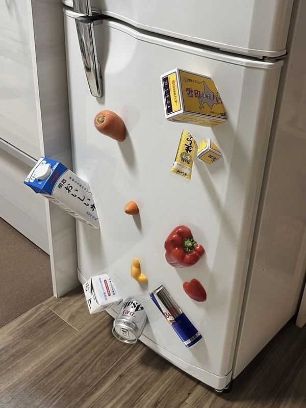 er1enney0ung's tweet image. i almost bypassed the tariffs by getting groceries from japan via the philadelphia experiment but this is an epic fail :(