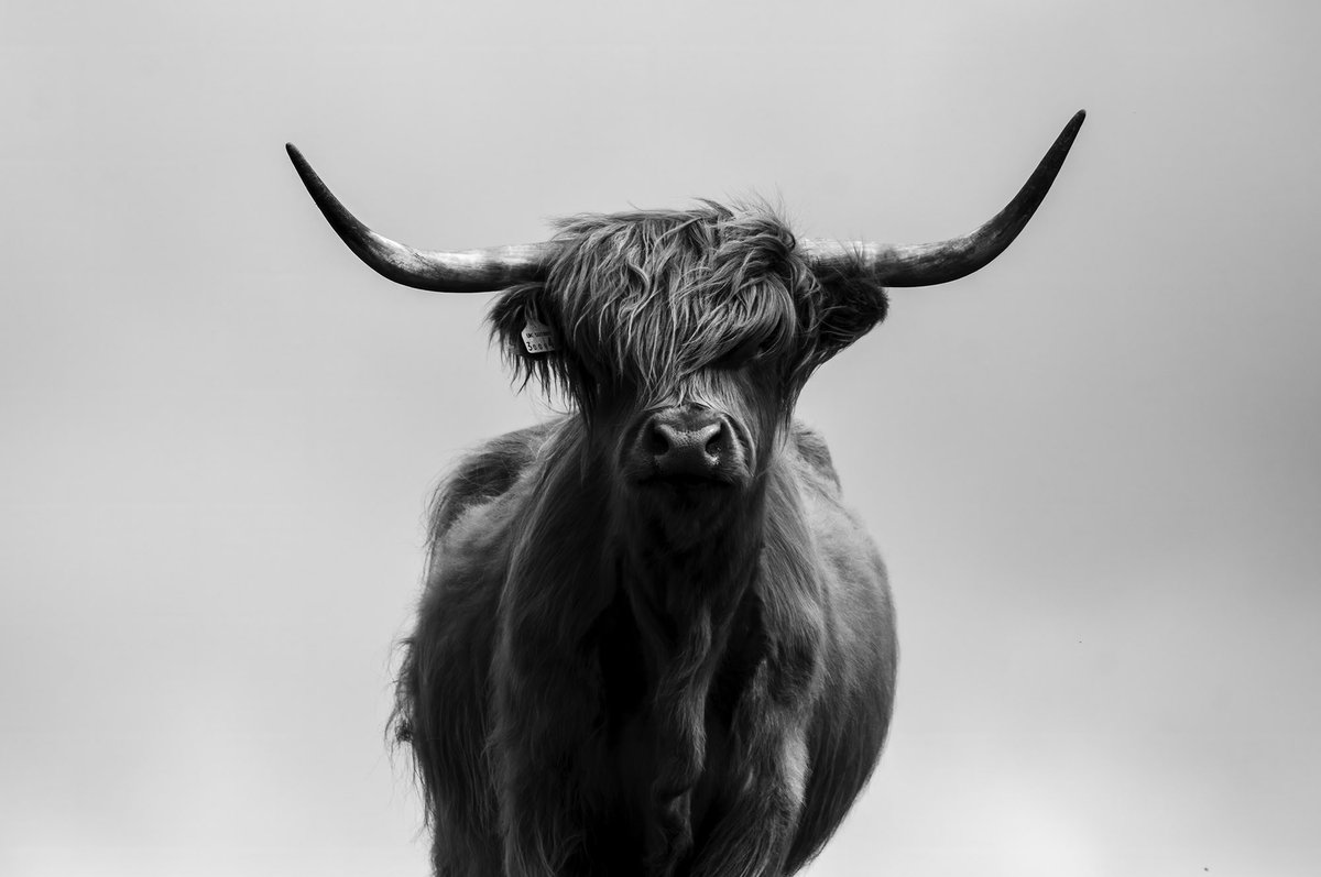 Luci Obregon tweet media