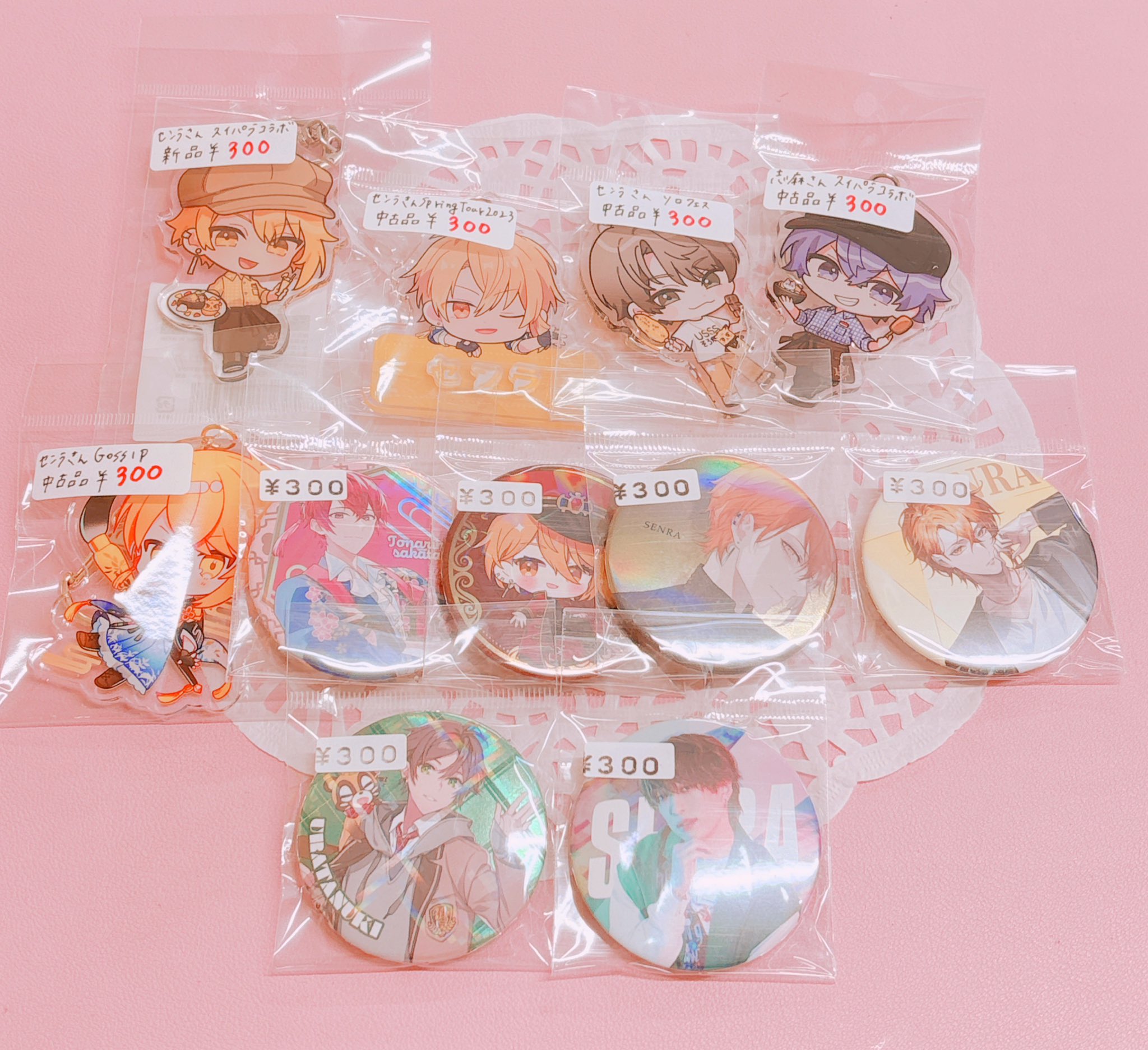 歌い手 SILVANA グッズ まとめ売り ◡̎Y's market ワイズマーケット 【中古グッズショップ】大阪府