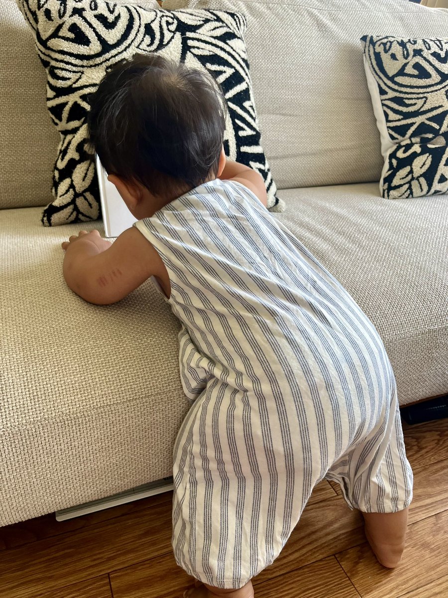 HOOK (@hook305) on Twitter photo かわい子ちゃん👶帰国
🇹🇭⇨🇯🇵 かわい子ちゃん👶帰国
🇹🇭⇨🇯🇵