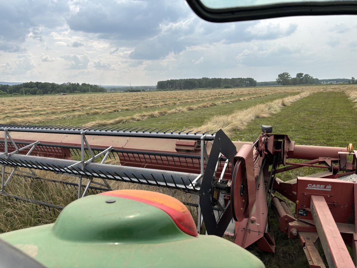 The pass I’ve been looking for

Fescue is down

Should rain now