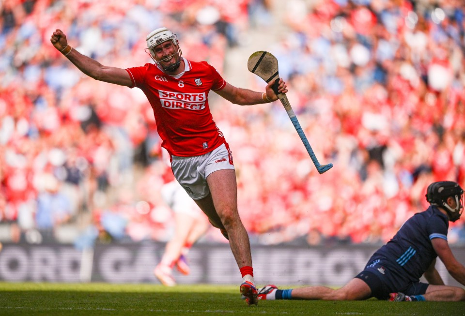 Story Seeds tweet media