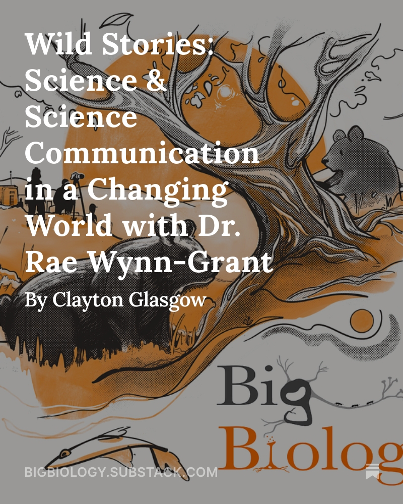 Big_Biology's tweet image. Read our newest blog "Wild Stories: Science and Science Communication in a Changing World with Dr. Rae Wynn-Grant" 📖 substack.com/home/post/p-16…
@RaeWynnGrant @WildKingdom