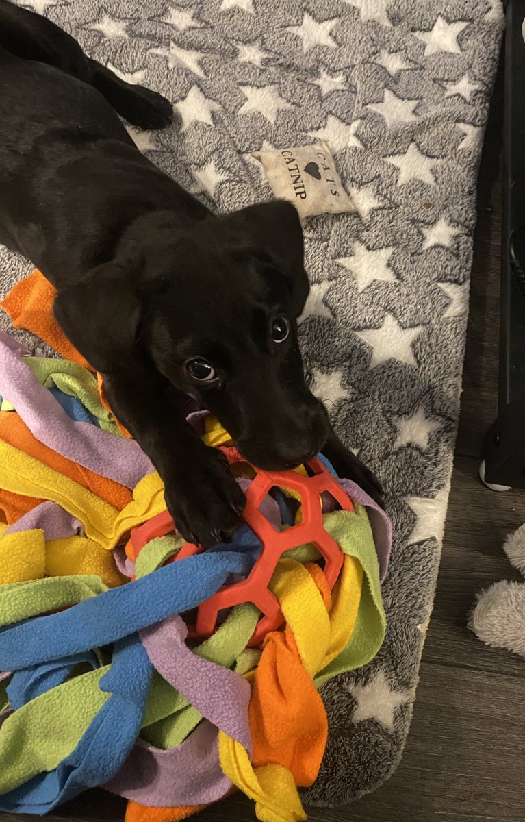 GhostStoriesEnd's tweet image. Look at her. LOOK AT HER 😭