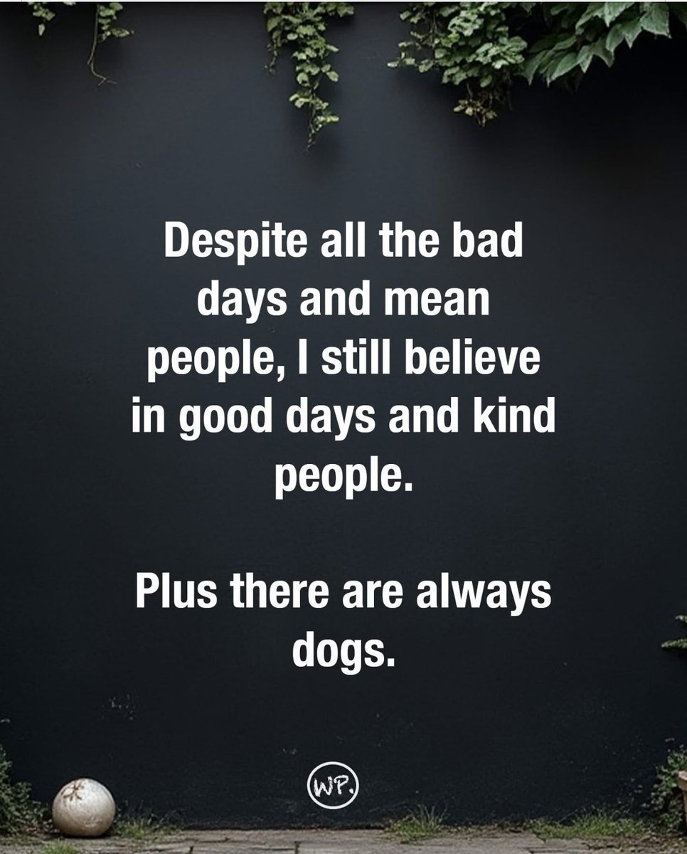 TRUSTGOD2020's tweet image. 🩷