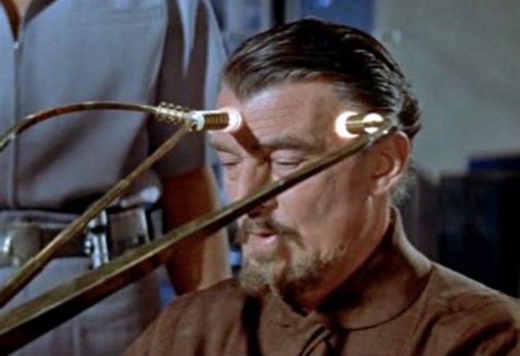 Live images of me trying to raise my IQ.