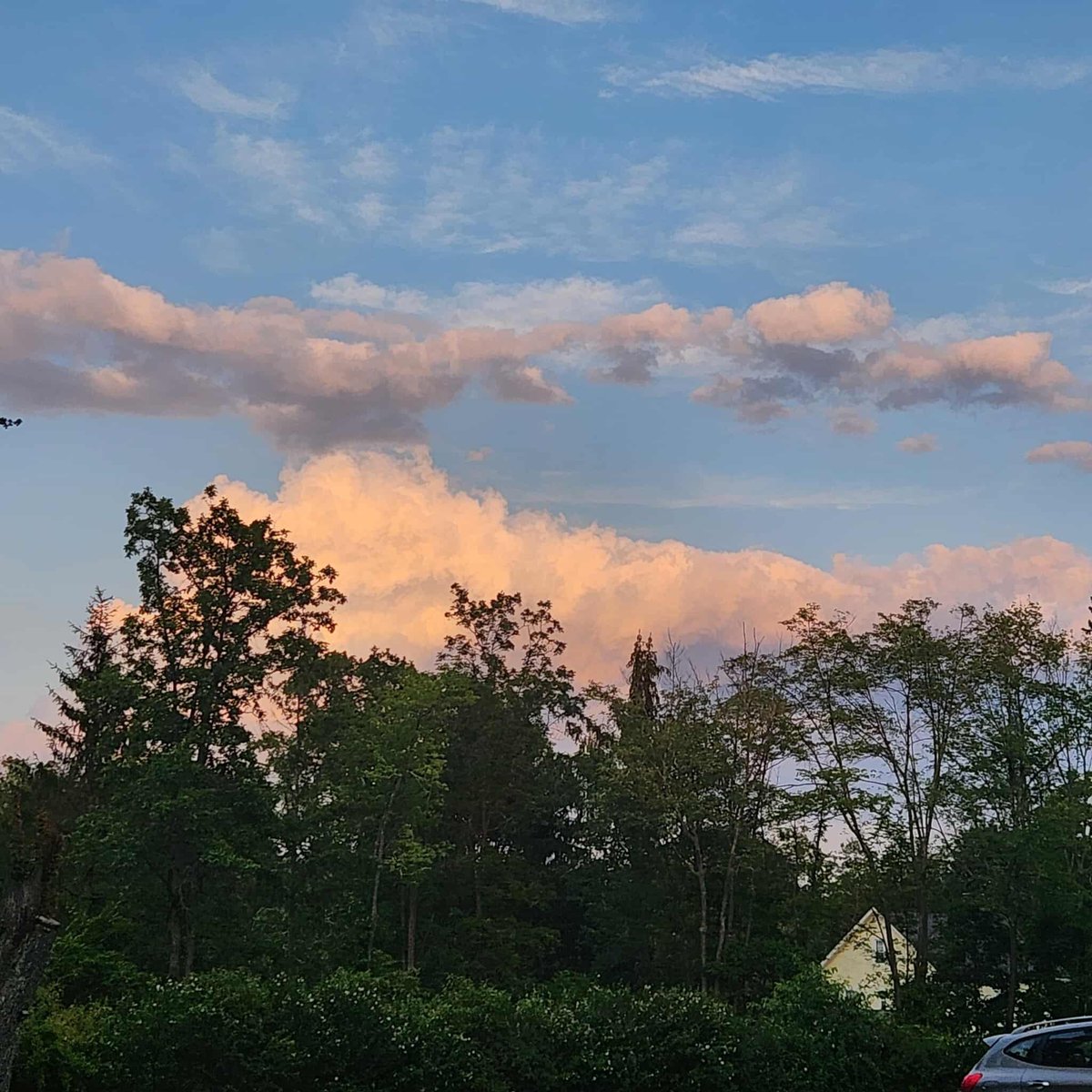 Danbury_WX's tweet image. Cold front is coming through dry tonight… just some cool clouds as seen from Danbury. You should notice a drop in humidity tonight and temperatures tomorrow!
📸 Ashley Thibodeau