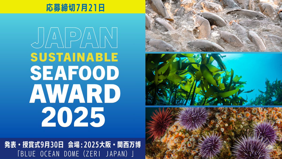 📣【明日！】JSSA2025応募締切7/21まであと１日！🐠
第6回ジャパン・サステナブルシーフード・アワードは水産業の未来を変える活動を、国内外にアピールするチャンス！
リーダーシップ部門・コラボレーション部門ともに募集中。
迷っている方は今すぐエントリーを！
詳細・ご応募▶️