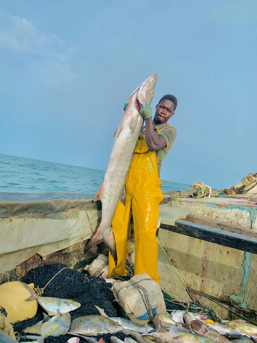 moussasarr2010's tweet photo. 📍Diembering #LoveIslandUK #Twitter #pecheursartisans #pecheur #fisherman #fishing #sea #almare #altomare #africa #twitters #senegal https://t.co/8PecjXZFom