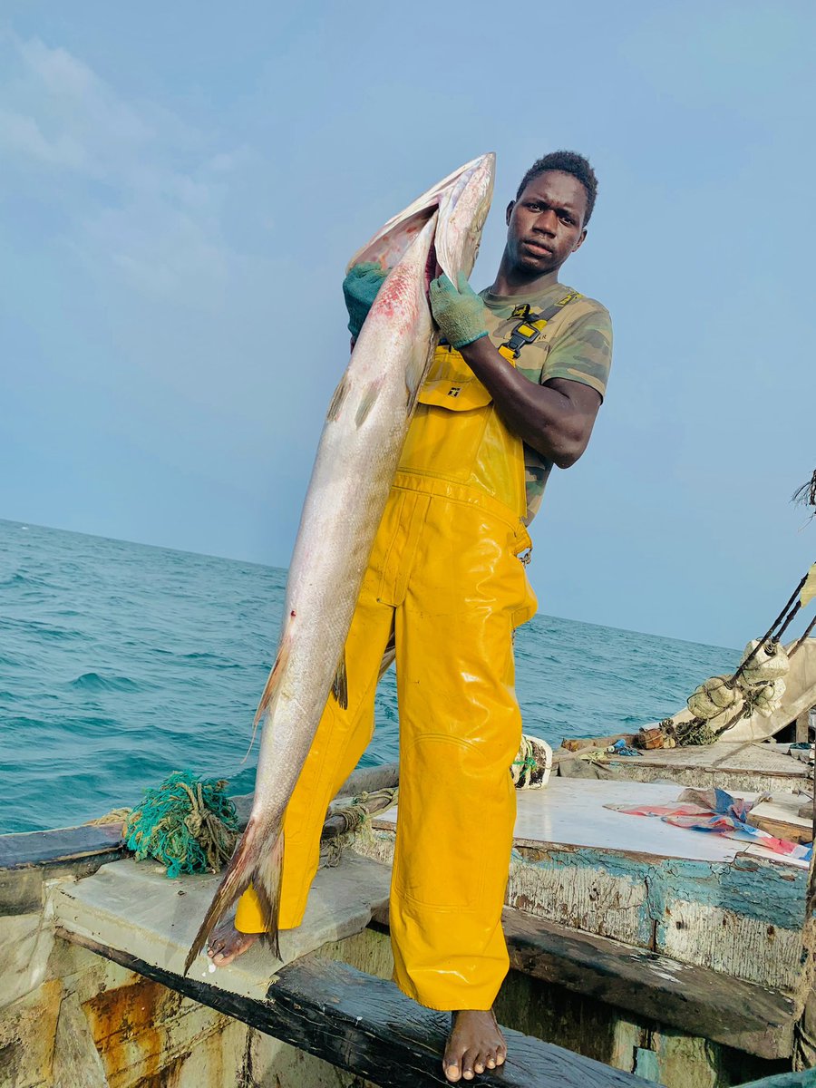 moussasarr2010's tweet photo. 📍Diembering #LoveIslandUK #Twitter #pecheursartisans #pecheur #fisherman #fishing #sea #almare #altomare #africa #twitters #senegal https://t.co/8PecjXZFom