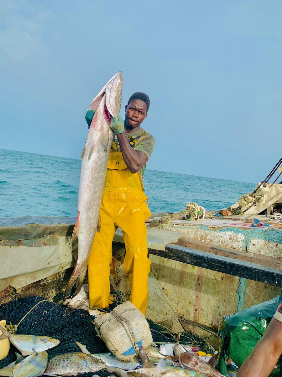 moussasarr2010's tweet photo. 📍Diembering #LoveIslandUK #Twitter #pecheursartisans #pecheur #fisherman #fishing #sea #almare #altomare #africa #twitters #senegal https://t.co/8PecjXZFom