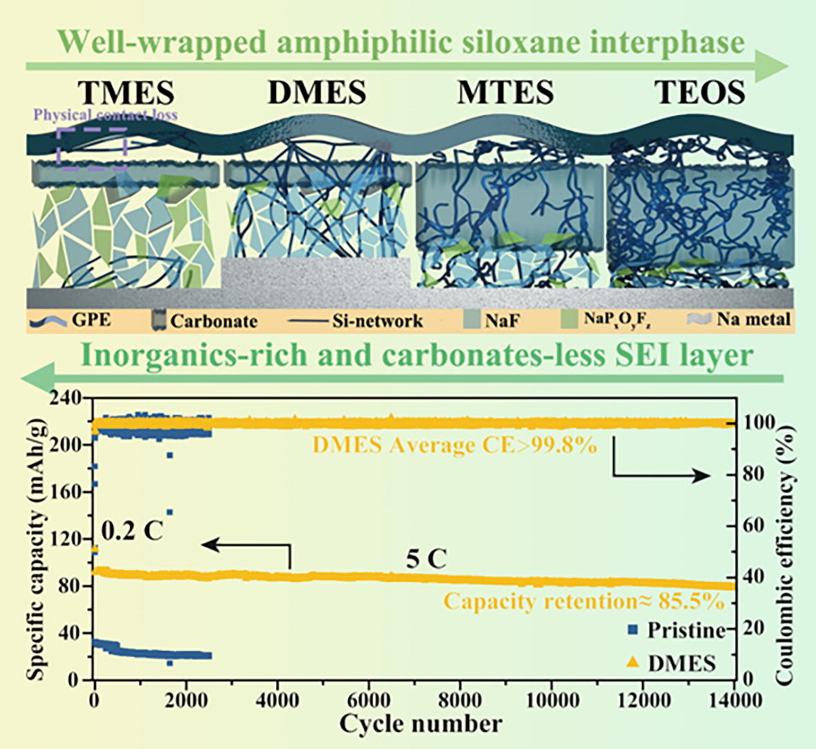 Sci_Bull's tweet image. The SMBs with DMES-GPE achieve an ultra-stable cycling over 14000 cycles with a high capacity retention (85.9 %) and present high tolerance to wider operating-voltages and excessive HF/H2O contents. doi.org/10.1016/j.scib…
@isciverse @SciencNews @BatteryPapers #batteries