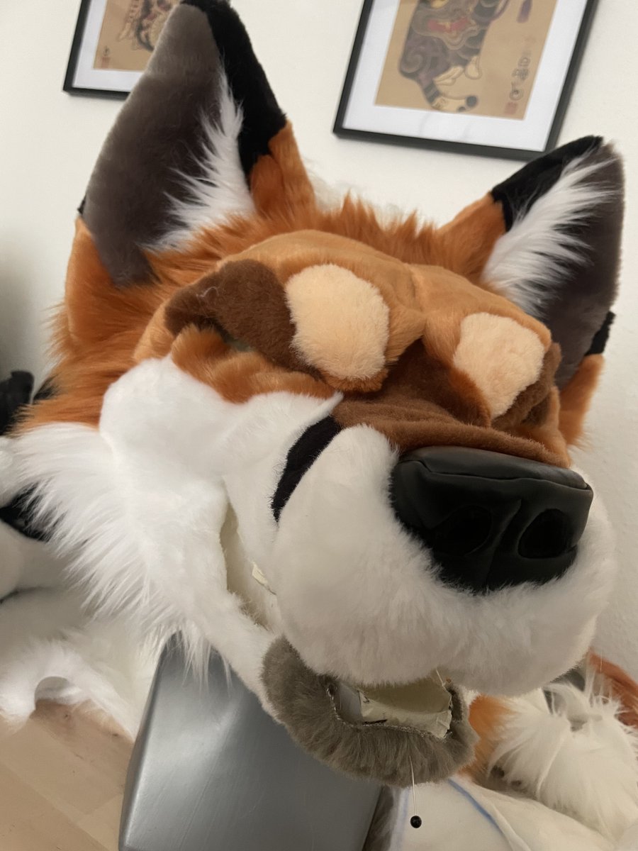 DeadDogFursuits's tweet image. I hope you like red👀This fox is a premade for EF!