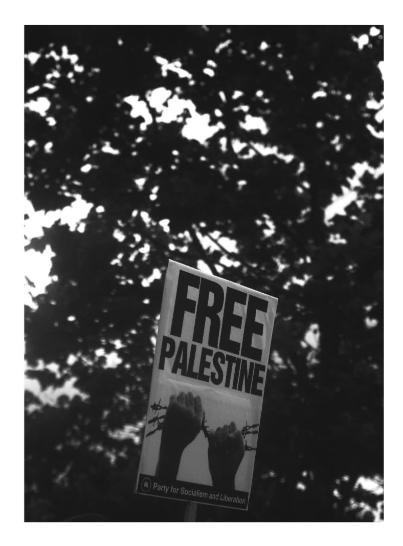 πβππ | πππππβ (@ayebeetreez) on Twitter photo No War Abroad, No War At Home
Protest organized by @northernindianadsa
@blmsouthbend
<a href="/pslnational/">Party for Socialism and Liberation</a>
South Bend, IN
7/17/2025 No War Abroad, No War At Home
Protest organized by @northernindianadsa
@blmsouthbend
<a href="/pslnational/">Party for Socialism and Liberation</a>
South Bend, IN
7/17/2025