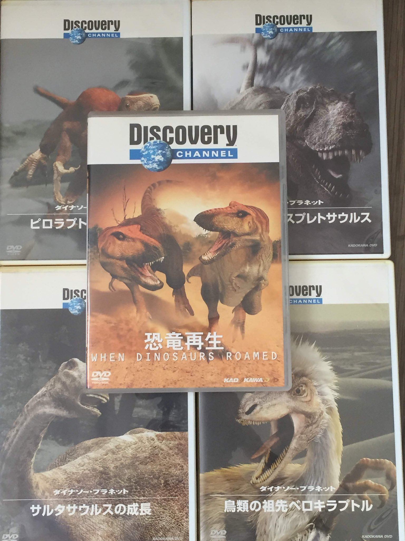 恐竜DVD 12作品まとめ 恐竜DVD 12作品まとめ