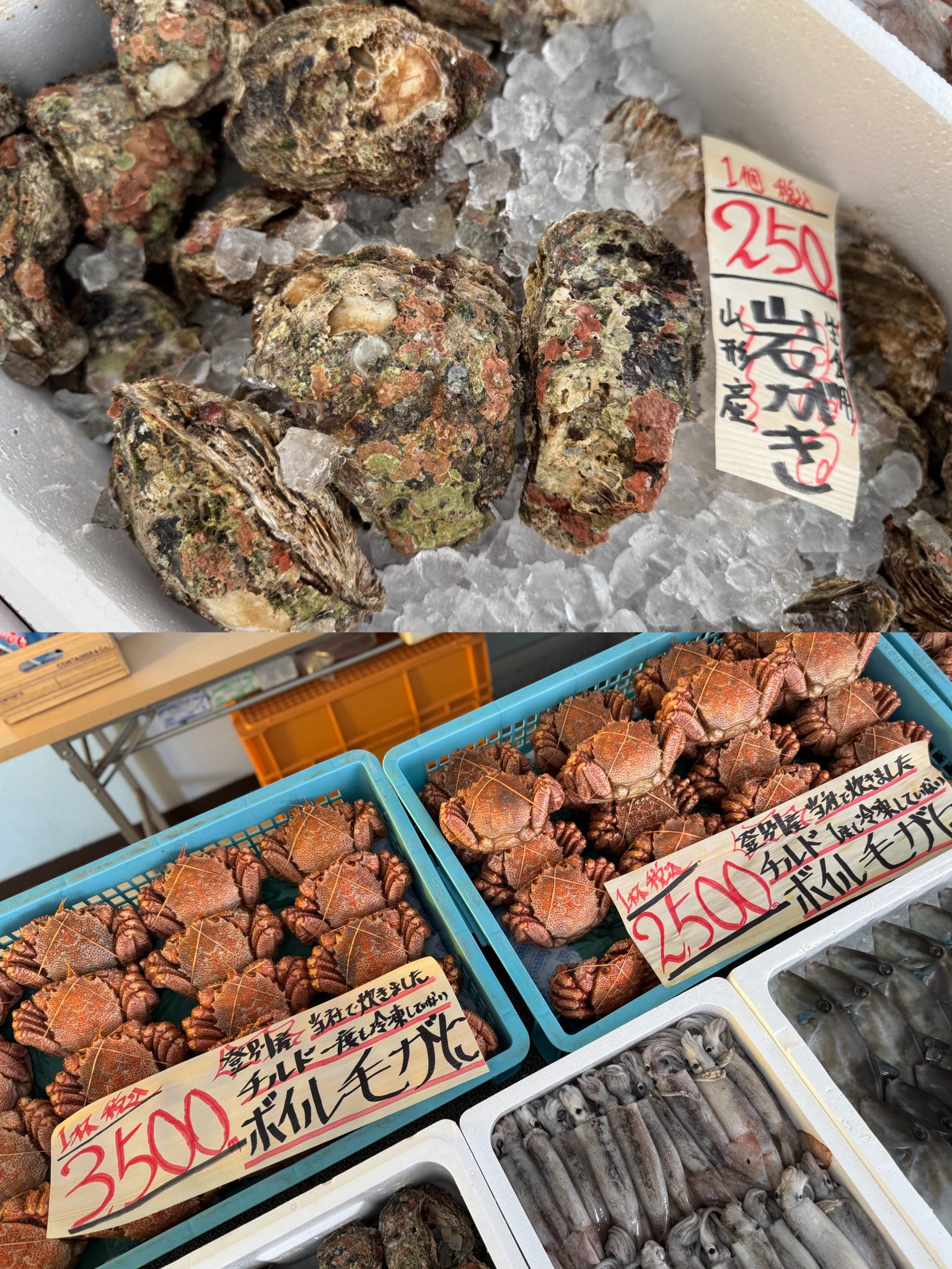 まるせん木村屋🐟 on X: 