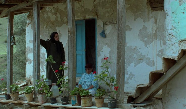 _carlaperfoll's tweet image. Eu selecionei algumas fotografias dos gerânios dos filmes do Abbas Kiarostami. Muitas vezes, lugares que foram alvos de terremotos e hoje têm a graça e a simplicidade de um pequeno vaso de flor na varanda....